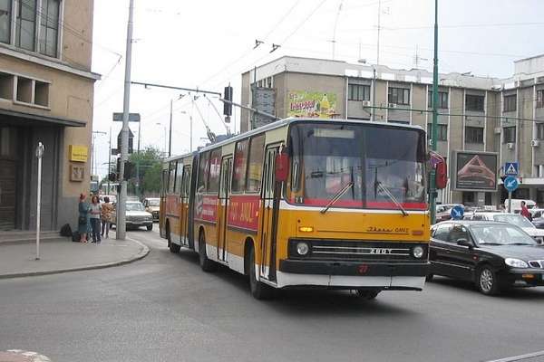 Ehemaliger Gelenkobus Nr. 009 vom ungarischen Typ Ikarus 280.93 in Timisoara/RO