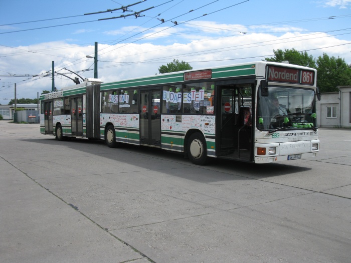 Gelenkobus 011 mit "Strippis" und "Eberswalde grüßt Budapest" in deutscher und ungarischer Sprache dekoriert
