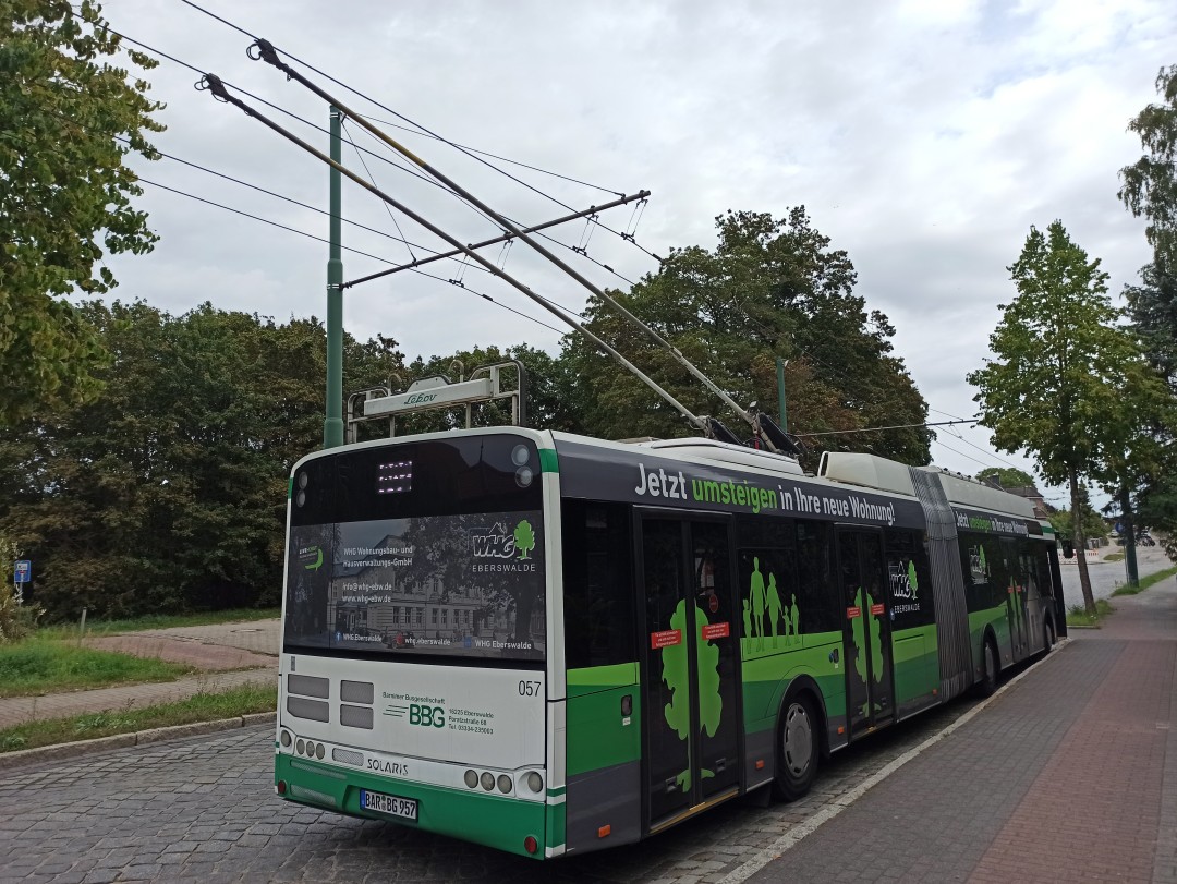 Gelenkobus Nr. 057 vom polnischen Typ Solaris Trollino 18 AC